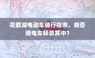 外贸猫，探索未来结构与发展路径