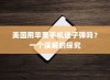 美国用苹果手机送子弹吗？一个误解的探究