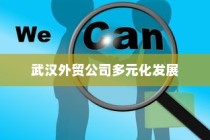 武汉外贸公司多元化发展与全球贸易网络构建的探索之路