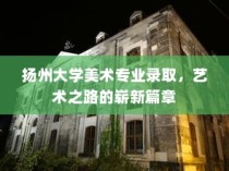 扬州大学美术专业录取，艺术之路的新篇章