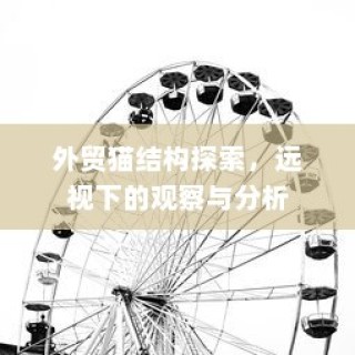外贸猫结构探索，深度观察与分析