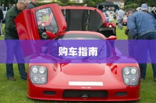 二十万左右纯电车推荐，市场精选与购车指南