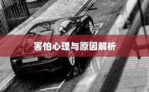 电车自燃现象与品牌深度探究