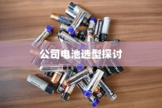公司电车电池选型策略深度探讨