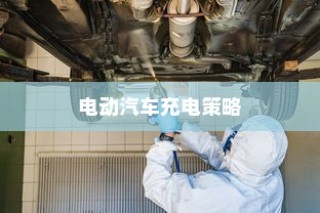 电动汽车充电策略与电池健康管理，电车电量降至30%时是否需要充电的探讨