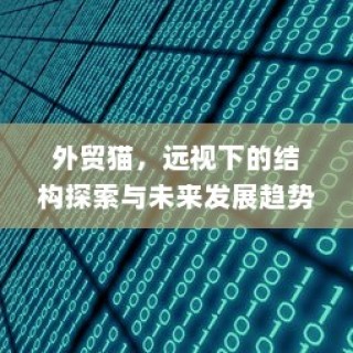 外贸猫，深度结构探索与未来发展趋势展望