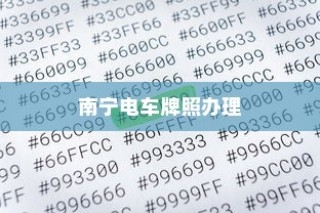 南宁电车牌照申请指南，流程、材料清单全解析