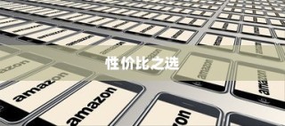 性价比之选，2024年商务手机推荐指南