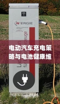 海军大学录取公示分数线深度解读，探寻录取标准与趋势