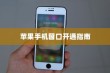 苹果手机窗口开通指南