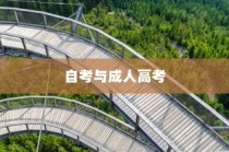 自考与成人高考，双轨并进，共筑成才梦想之桥