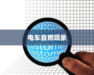 电车自燃现象深度探究，品牌分析与启示
