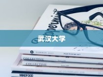 武汉大学河南录取政策深度解读与解析