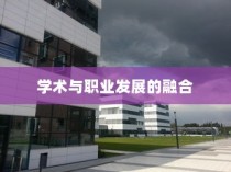 乔治敦大学MSE项目，学术与职业发展的卓越融合之路