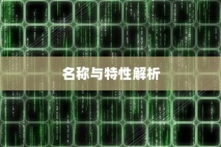 电车中的镜子世界揭秘，名称与特性深度解析