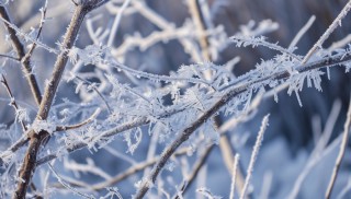 情人节前夕迎大范围降雪  元宵节或现雨雪高峰