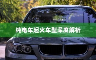 纯电车起火车型全面解析