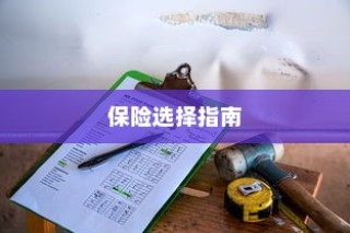 电车保险全解析，购买全险指南与保险选择建议