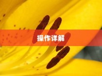 小米手机桌面锁定解锁操作详解