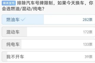 上海车展观察，合资车与燃油车的未来机遇与挑战分析