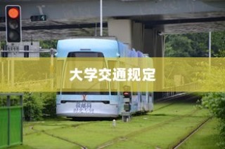 大学交通规定深度解析，电车驶入限制详解
