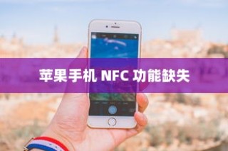 苹果手机里为什么没有NFC，探究背后的原因与影响