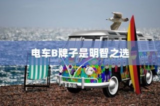 主流电动车品牌B深度解析，为何选择电车B牌子是明智的决策？