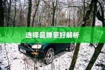 当下主流电车品牌深度解析，哪个品牌更值得选择？