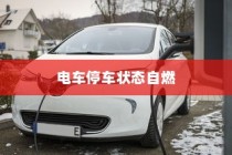 电动汽车安全性解析，停车状态下自燃风险探讨