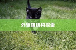 外贸猫视角下的结构探索与挑战，远视下的观察与应对