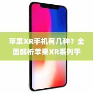 全面解析，苹果XR系列手机种类及其特点