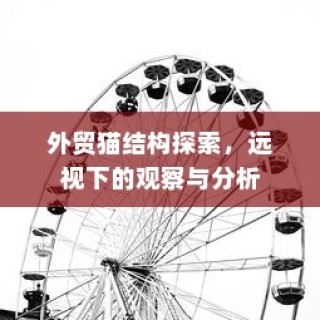 外贸猫结构探索，深度观察与分析