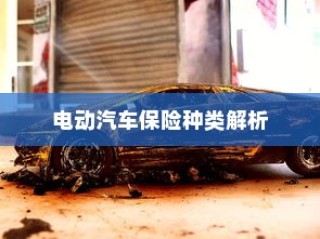 电动汽车保险种类详解与全险购买指南
