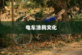 电车涂鸦文化背后的安全隐患探究，涂鸦材料毒性问题解析