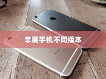 苹果手机卖什么版本，全面解析不同版本的特点与选择建议