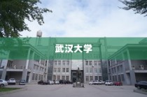 武汉大学河南录取政策全面解析