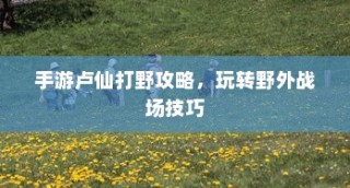 手游卢仙打野攻略，玩转野外战场技巧秘籍