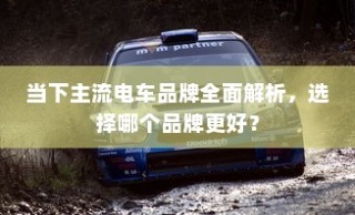 当下主流电车品牌深度解析，哪个品牌更值得选择？