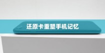 苹果手机恢复数据，使用还原卡重塑手机记忆