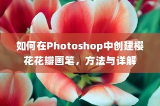 如何在Photoshop中创建樱花花瓣画笔，方法与详解