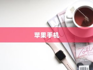 苹果手机看小说的便捷性探讨