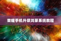 荣耀手机升级鸿蒙系统，荣耀10X与荣耀20的鸿蒙系统升级教程