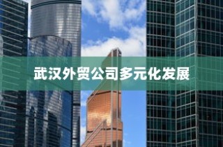 武汉外贸公司多元化发展与行业全景深度解析