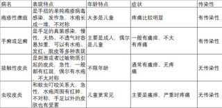 夏天手上奇痒水泡应对攻略，全方位解决你的烦恼