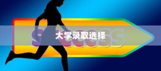 解读大学录取选择，影响与考量之不去的选择分析