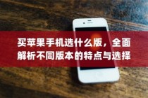 买苹果手机选什么版，全面解析不同版本的特点与选择建议