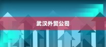 武汉外贸公司多元化战略下的蓬勃发展轨迹