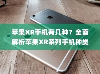 全面解析，苹果XR系列手机种类及其特点