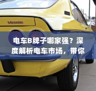 深度解析电车市场，探寻最佳品牌选择——电车B牌子哪家强？