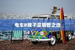 主流电动车品牌B深度解析，为何选择电车B牌子是明智的决策？